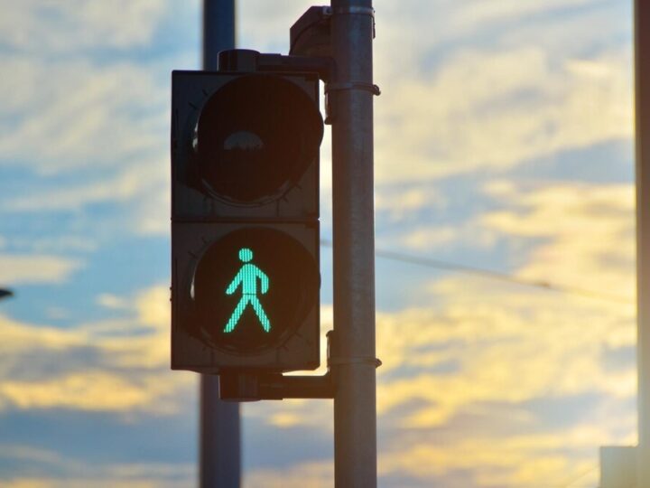 Warszawa w akcji: Wiosenna migracja nurogęsi pod ochroną społeczności