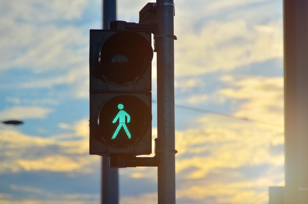 Warszawa w akcji: Wiosenna migracja nurogęsi pod ochroną społeczności