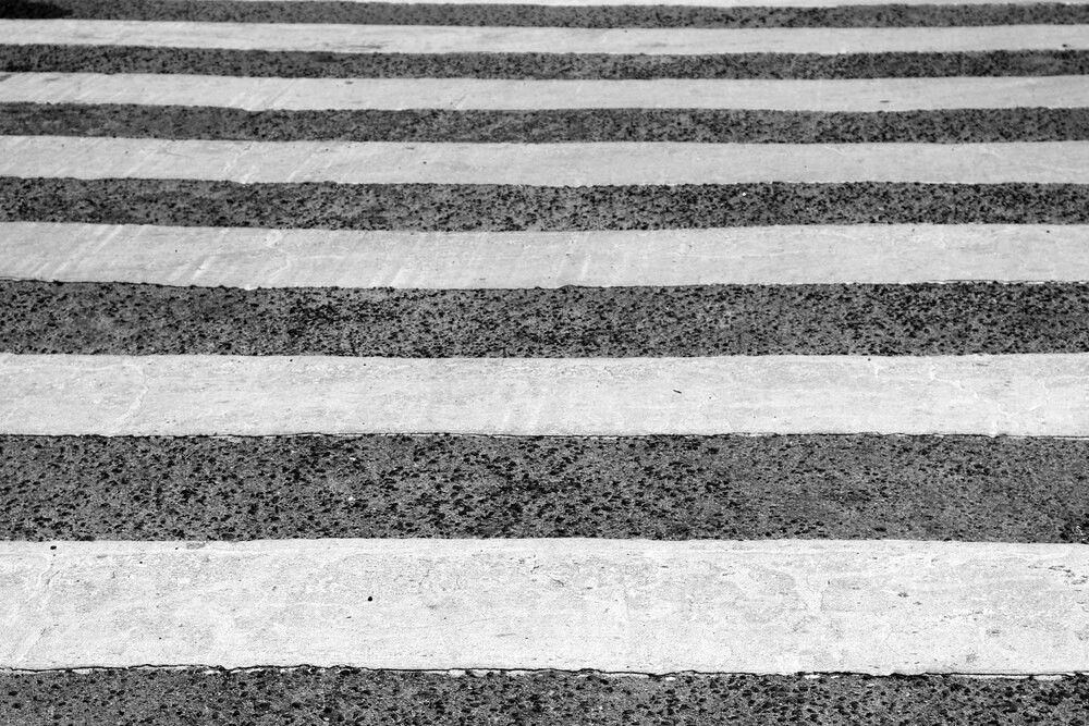 Zielona Przestrzeń dla Uczniów: Nowa Era przy SP 258