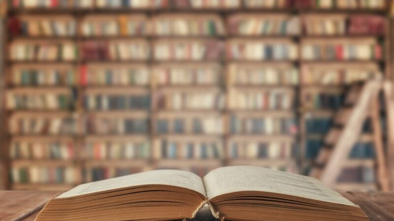Bibliotekarze i Pasjonaci Książek: Święto Kultury w Białołęce