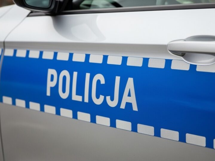 Gang złodziei aut rozpracowany: dziadek nieświadomy przestępczego warsztatu wnuka