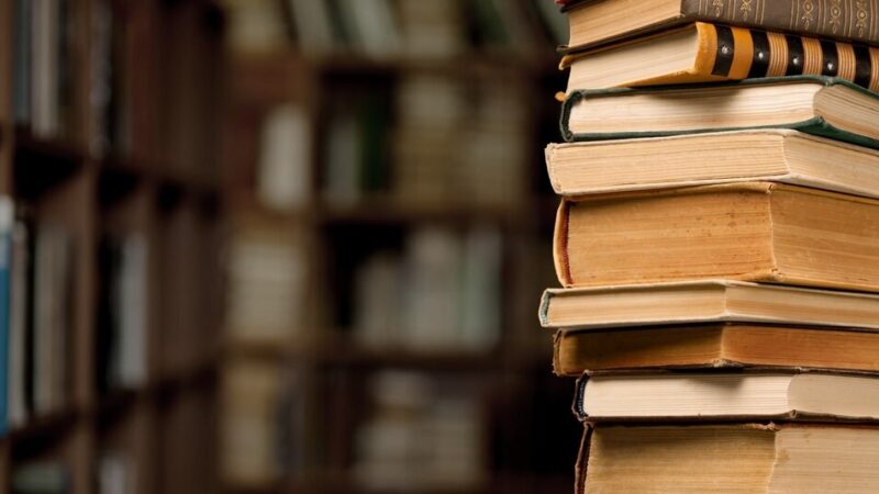 Majowe tytuły w Bibliołęce – odkryj nowości!