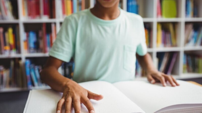 Warszawskie Lasy Miejskie organizują edukacyjne spacery i warsztaty przyrodnicze