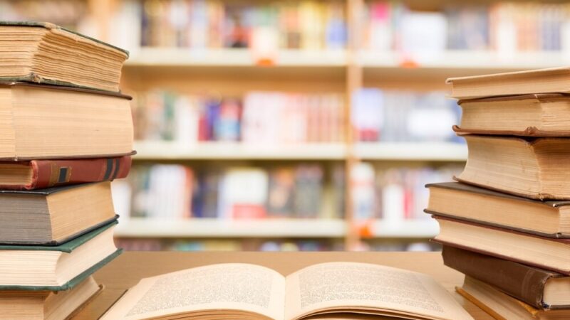 Perspektywy literackie: Spotkanie z prof. Koziołkiem