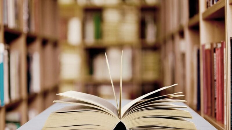 Maj w Bibliotece: Kreatywność i Nauka w Serdecznym Otoczeniu