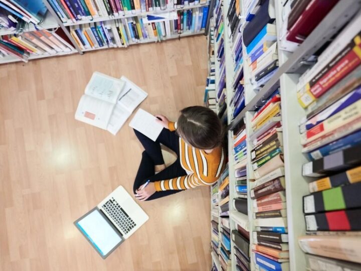 Zbuduj mini hotel dla owadów – ekoartystyczne warsztaty w bibliotece!