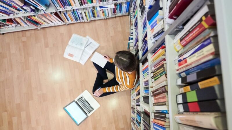 Zbuduj mini hotel dla owadów – ekoartystyczne warsztaty w bibliotece!