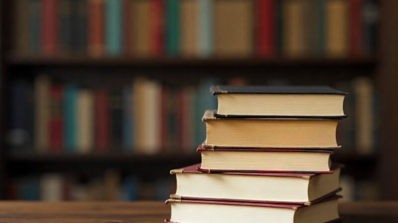 Zielone książki z niespodziankami: Lato w Bibliotece Zielonej!