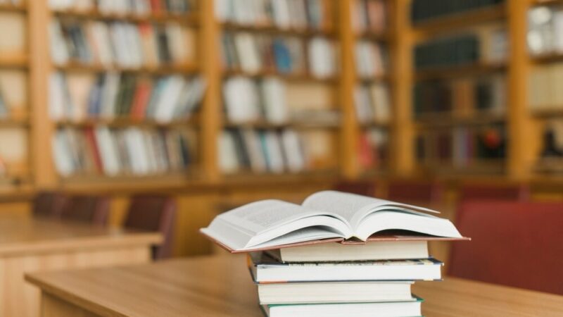 Kreatywne wakacje w Bullerbyn: Warsztaty pełne inspiracji w Bibliotece Zielonej
