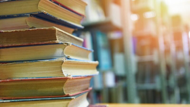 Zielona Biblioteka: Odkryj wakacyjne skarby w książkach!