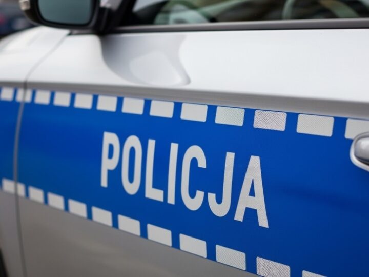Bójka w Parku Młocińskim: Strażnicy Miejscy w Akcji!