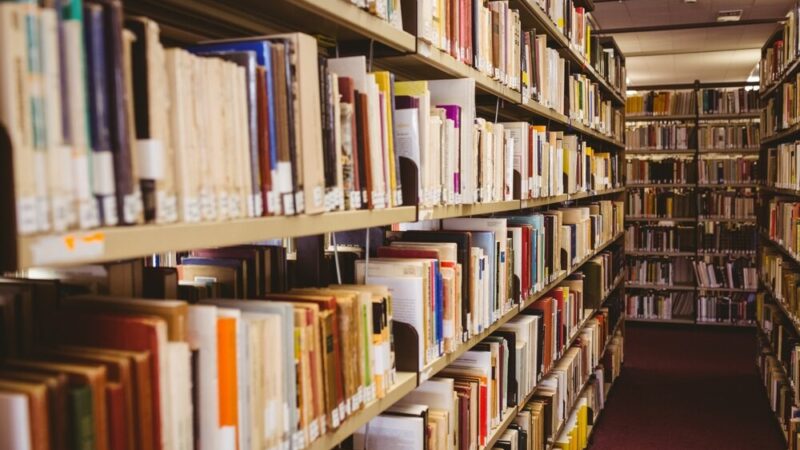 Kreatywność w zgodzie z naturą: warsztaty w Zielonej Bibliotece!