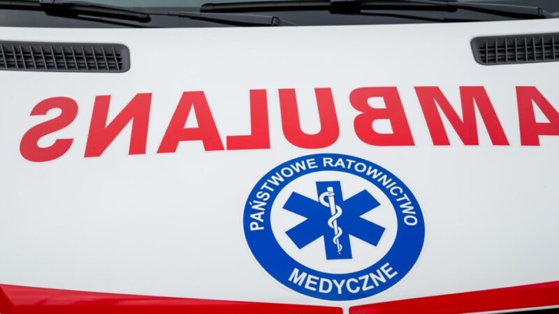 Zgubiła się w lesie: dramatyczna akcja ratunkowa podczas grzybobrania