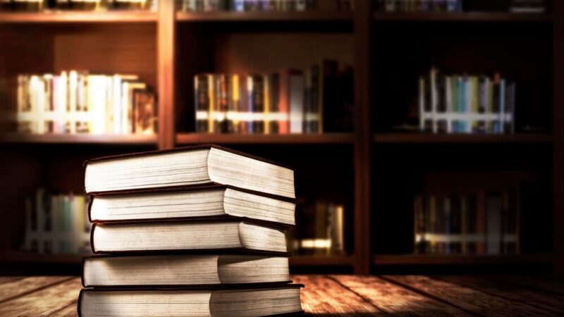 Ogród Sztuki: Nowa Biblioteka na Pradze-Północ łączy Literaturę z Kulturą