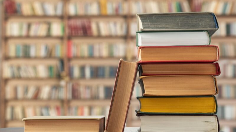 Teatr Bajaderka zaprasza na bezpłatne spektakle dla dzieci w bibliotekach!