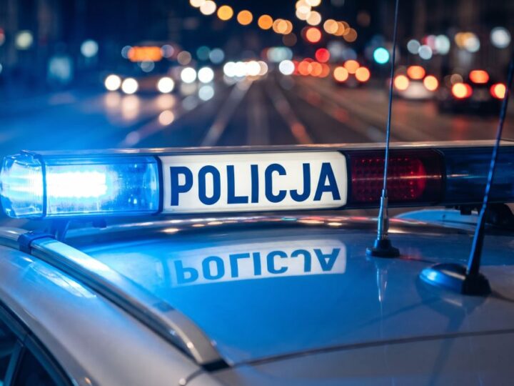 Areszt dla 38-latka po brutalnej bójce z użyciem tasaka