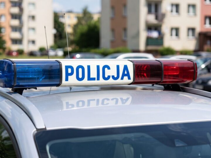 Zatrzymany w letniskowym ukryciu: kryminalny z Woli w rękach policji