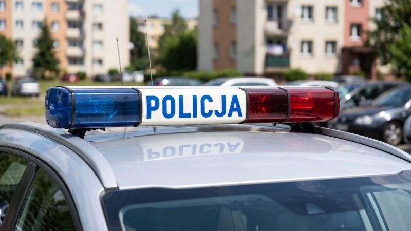 Zatrzymany w letniskowym ukryciu: kryminalny z Woli w rękach policji