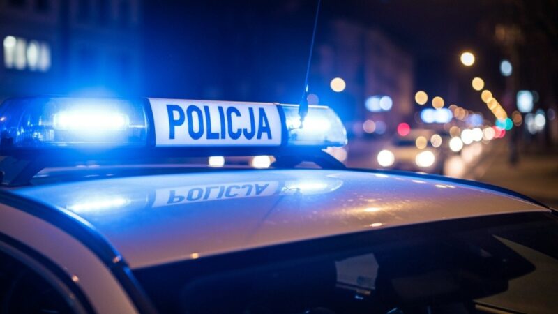 Skoordynowana akcja służb na A2: Zatrzymano 35-latka z 86 tys. nielegalnych papierosów